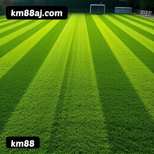 FAQ km88 Brasil - Perguntas frequentes sobre bônus, PIX, RTP, APP mobile e VIP